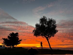 Sunset over a quiet natural landscape with silhouetted trees, symbolizing stillness, simplicity, reflection, and returning to yourself through nature.